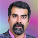 محمد رضا هادی